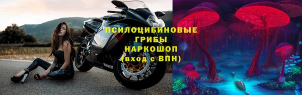 ECSTASY Горно-Алтайск